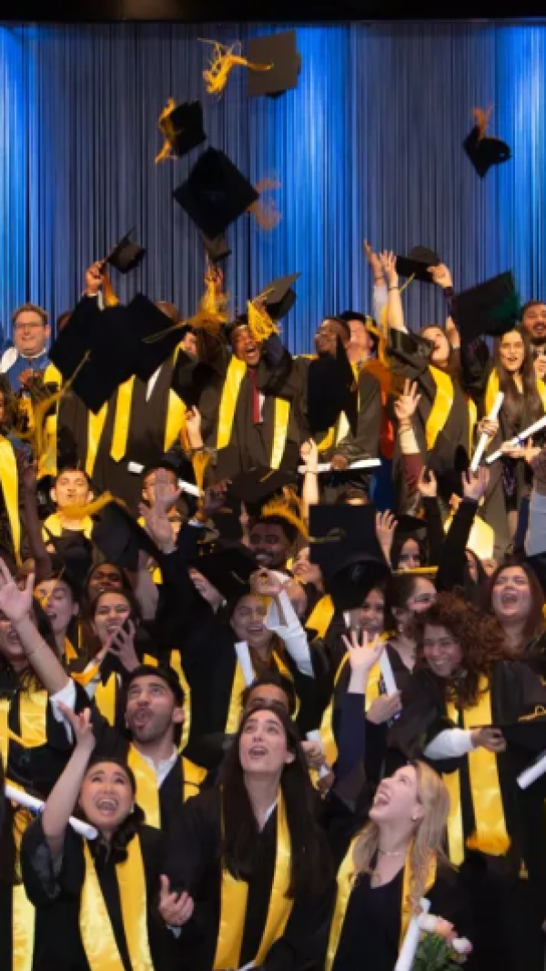 Screenshot 2025-06-26 200919